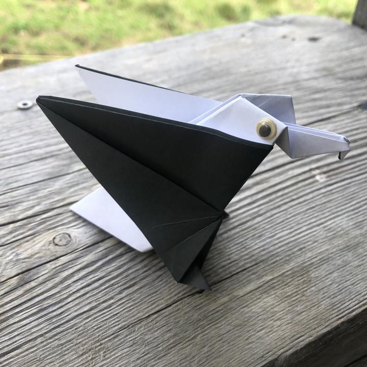 Mit viel Präzision gefalteter Origami-Bartgeier